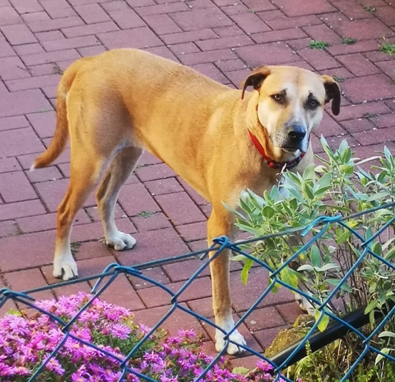 IMG 20211003 WA0008a