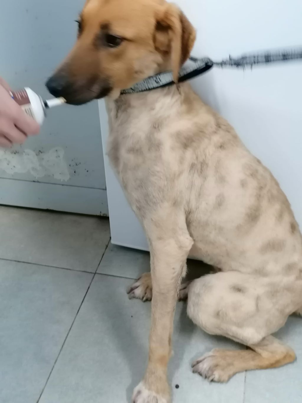 IMG 20211230 WA0014klein