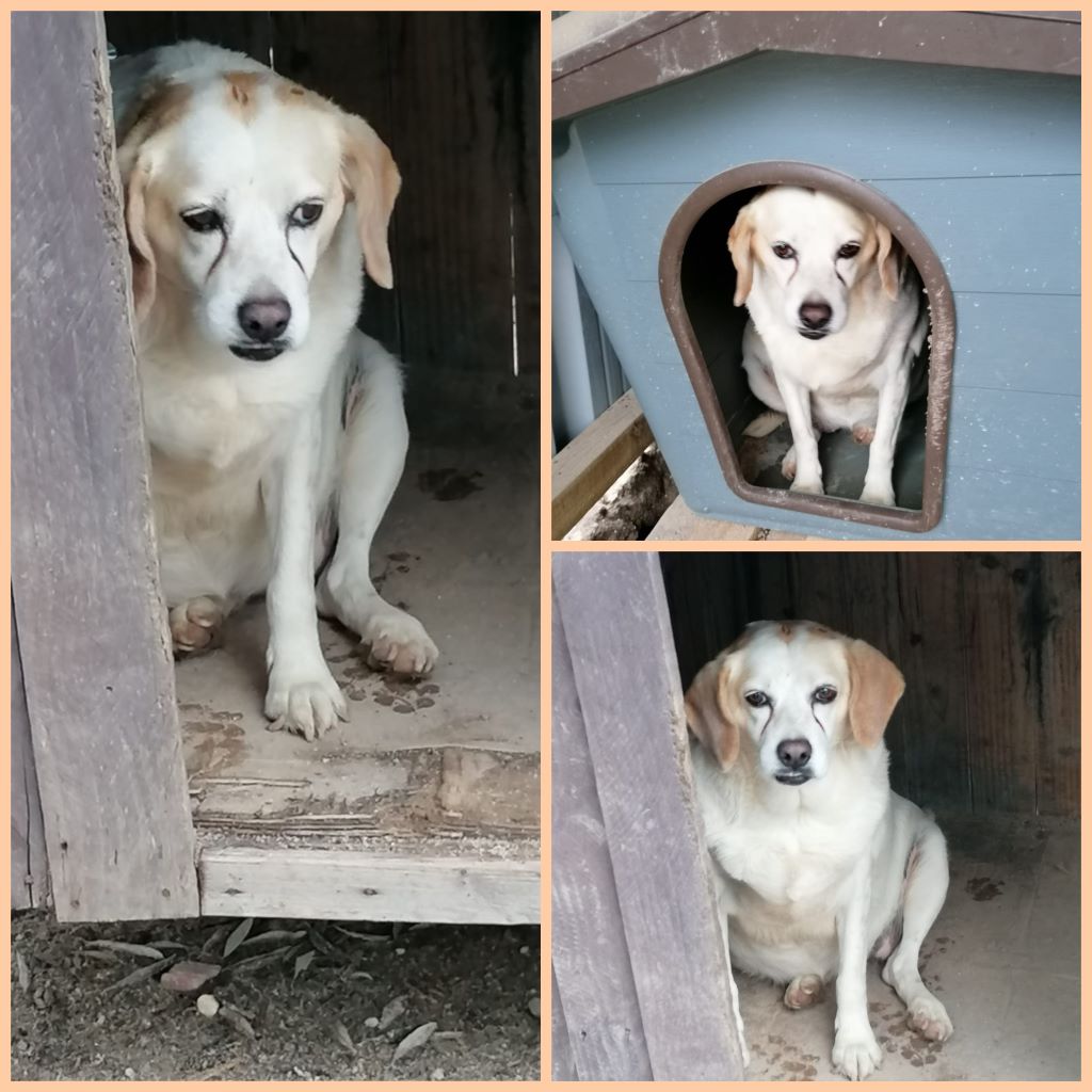 InCollage 20220324 221622932klein