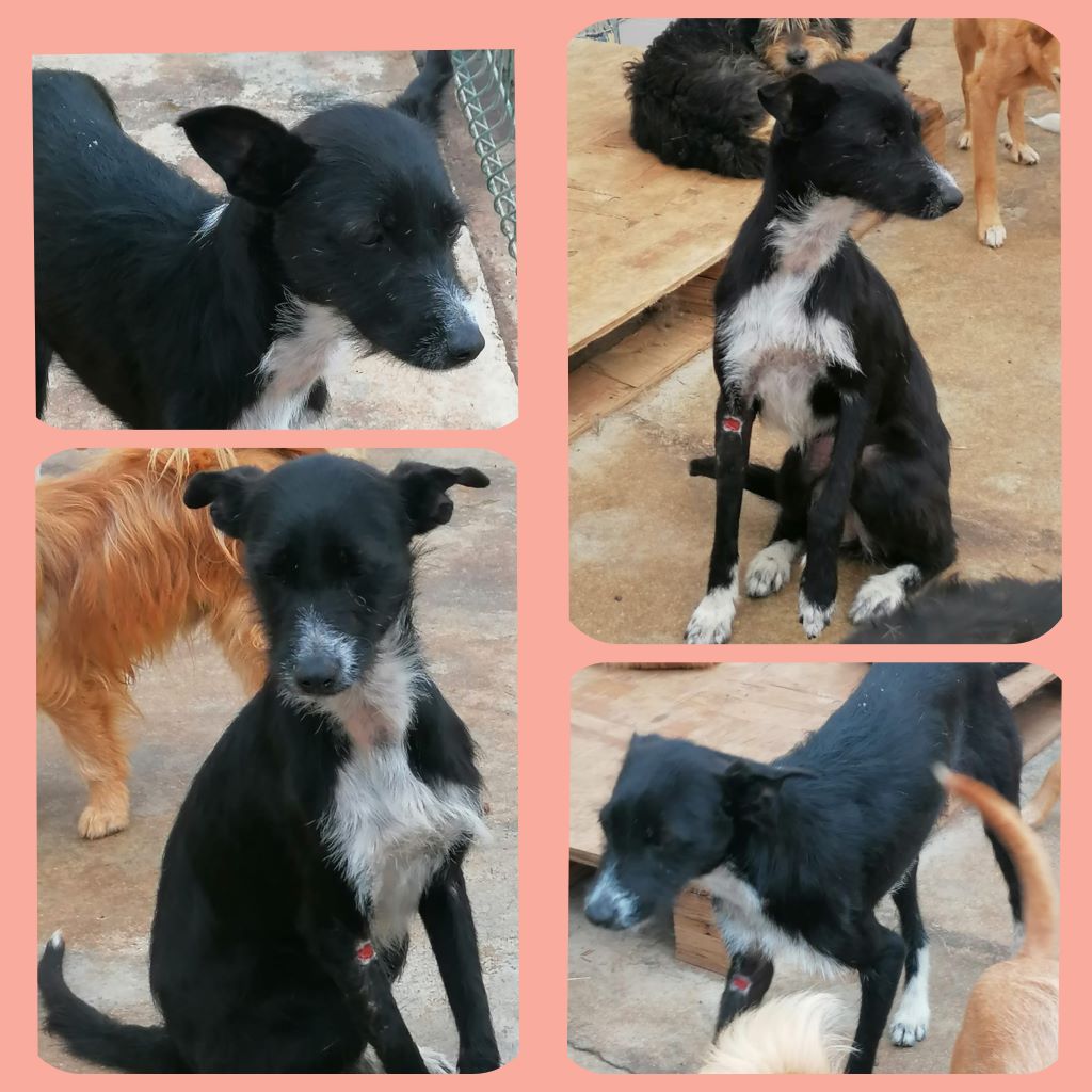 InCollage 20220703 160315738klein