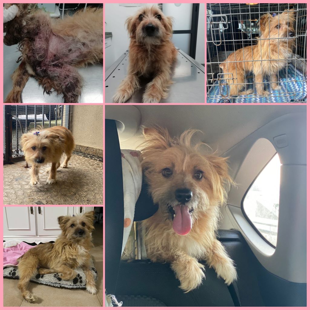 InCollage 20221225 144207324klein