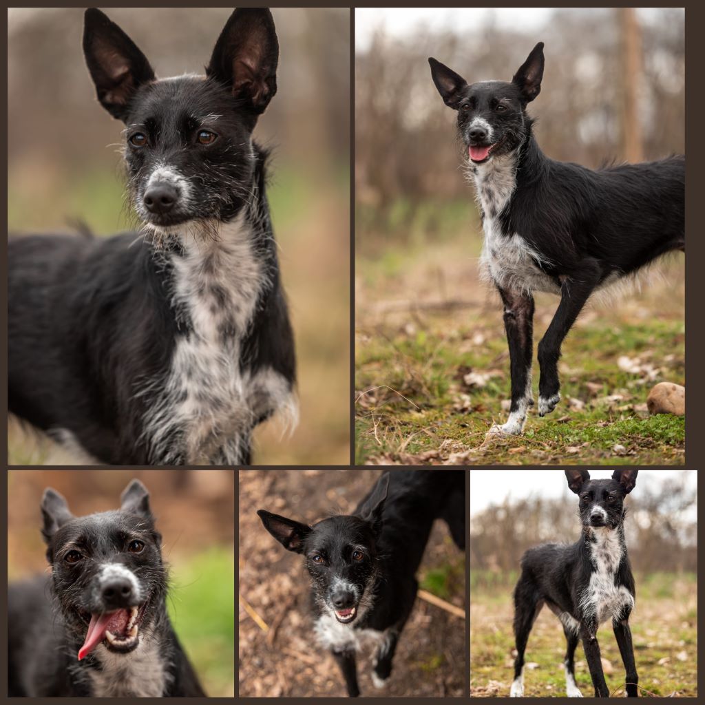 InCollage 20230329 204750489klein