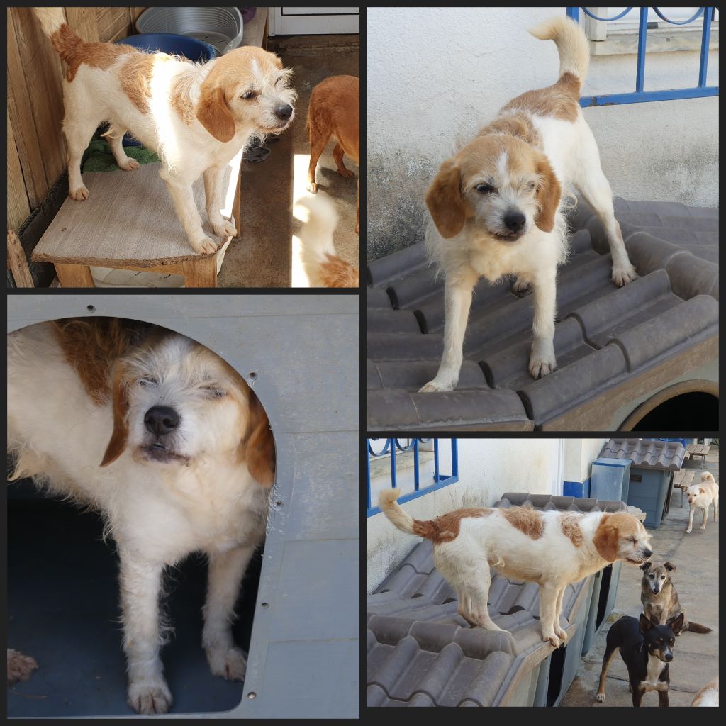 InCollage 20230515 204902378klein