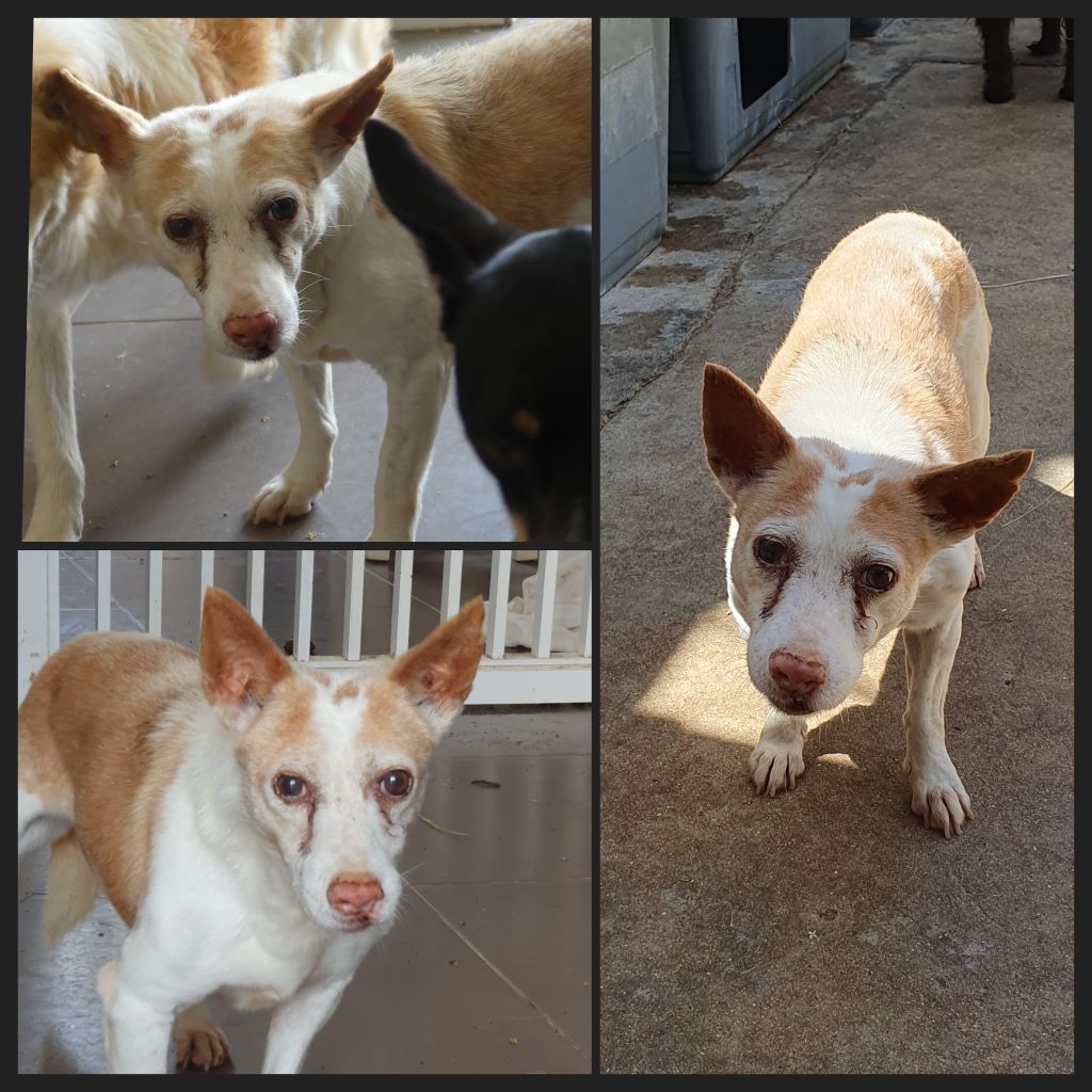 InCollage 20230515 215831474klein