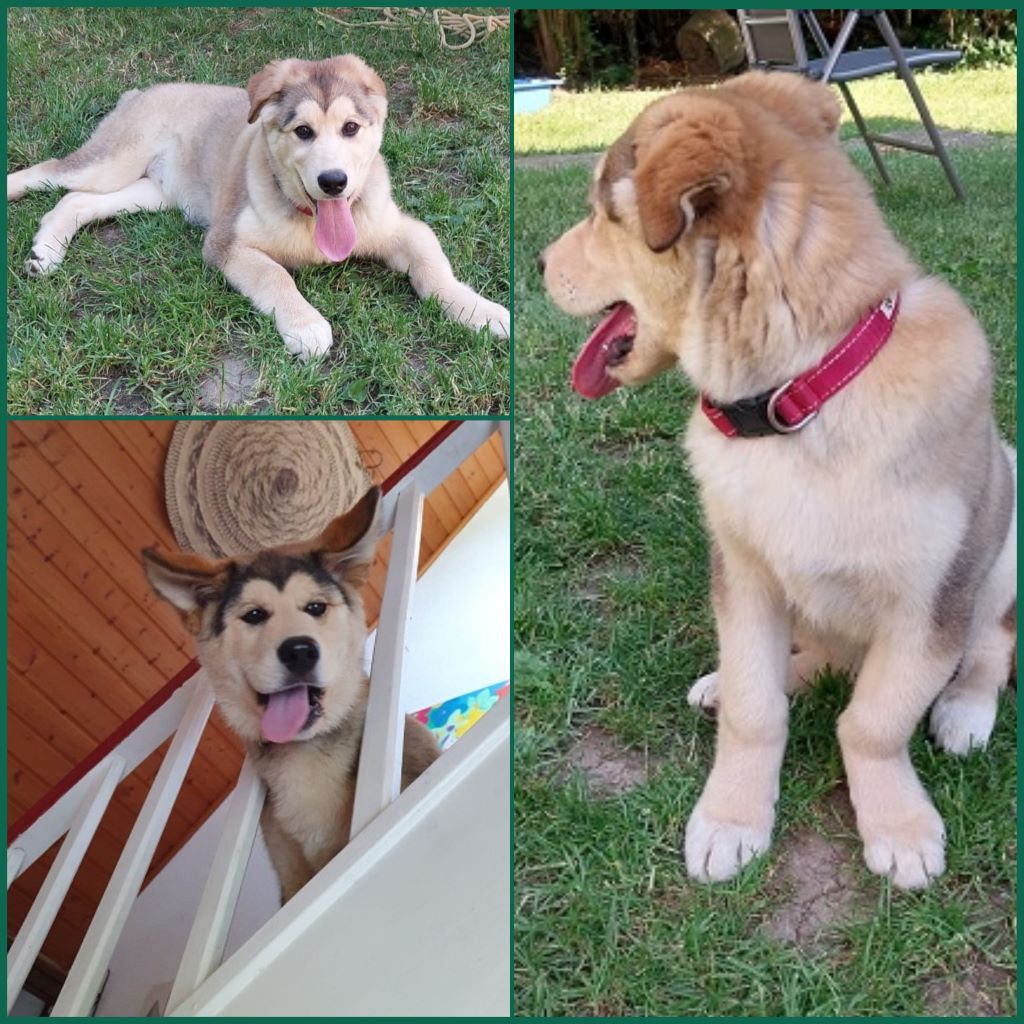 InCollage 20230802 201510499klein