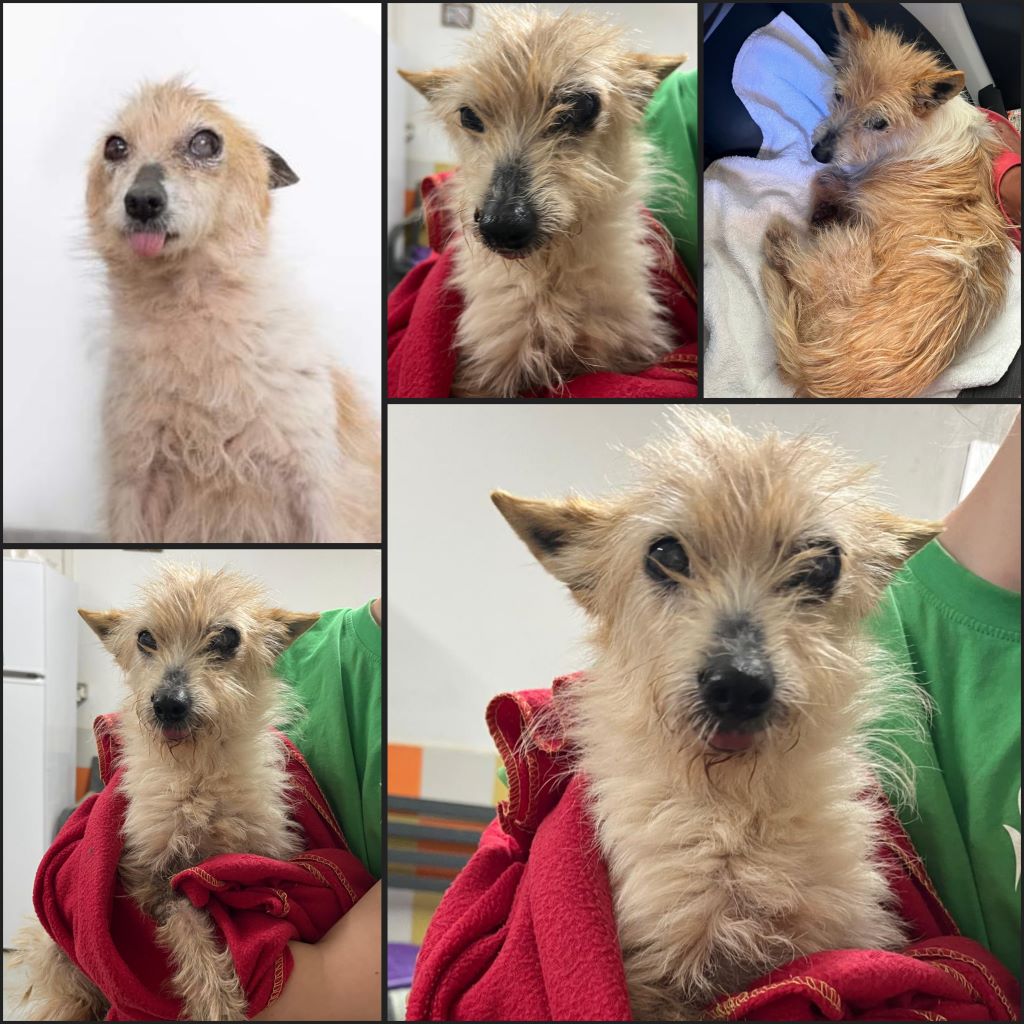 InCollage 20230902 195357066klein