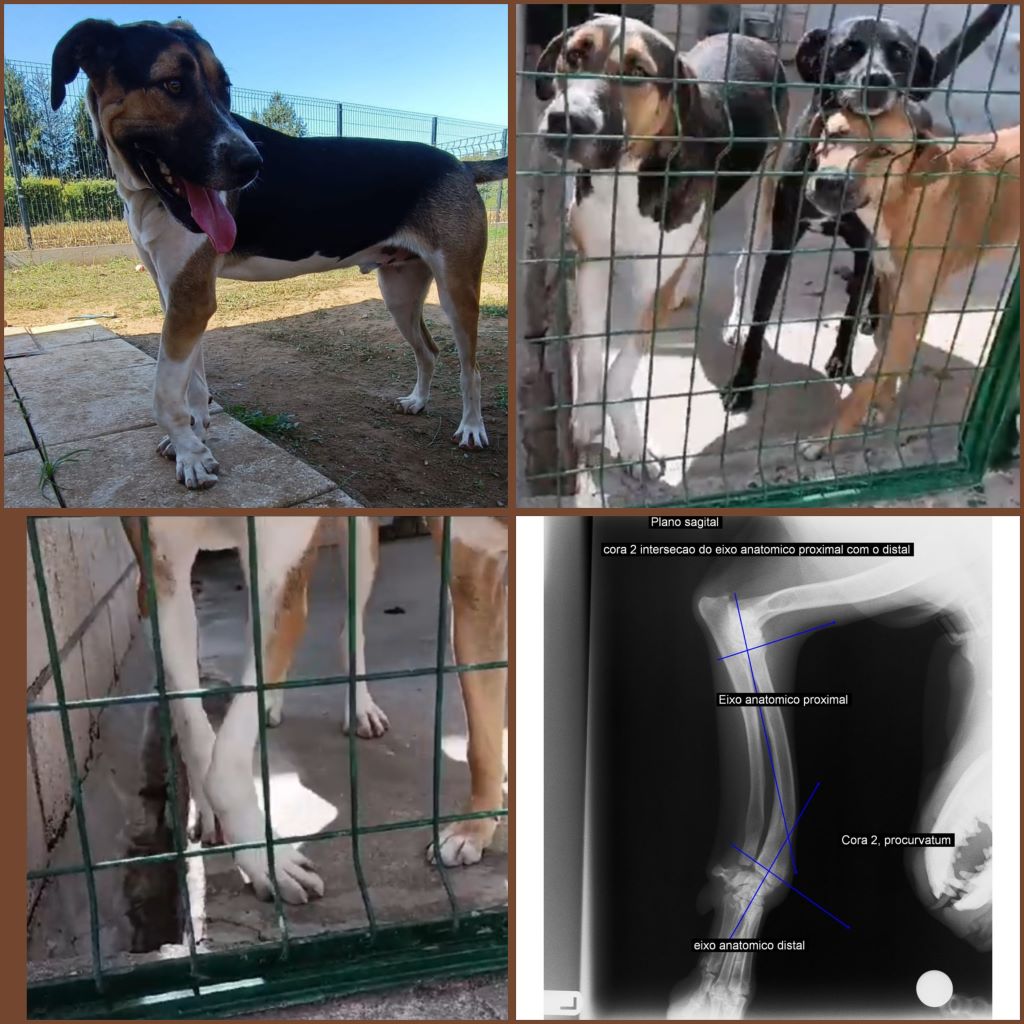 InCollage 20230919 122106964klein