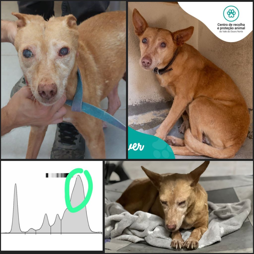 InCollage 20231009 210138097klein