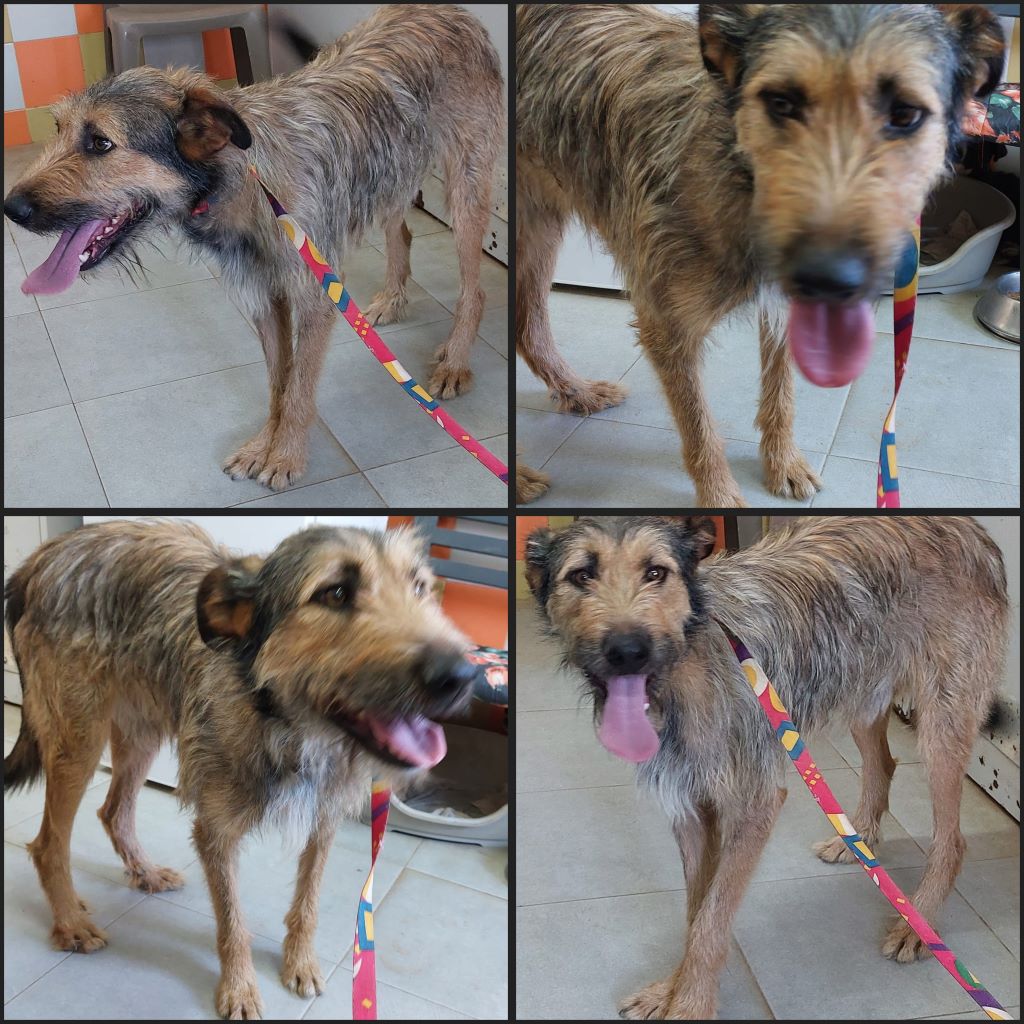 InCollage 20231011 111529533klein