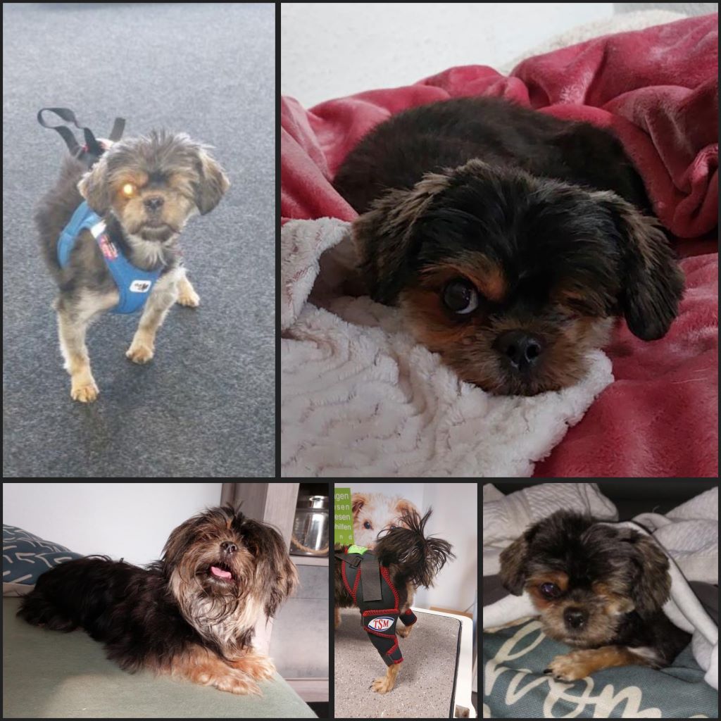 InCollage 20231030 233735986klein