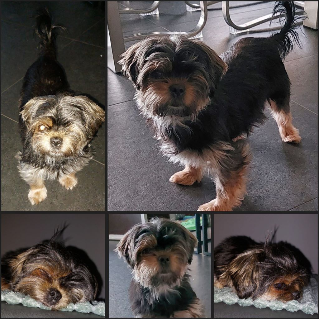 InCollage 20240124 002730848klein