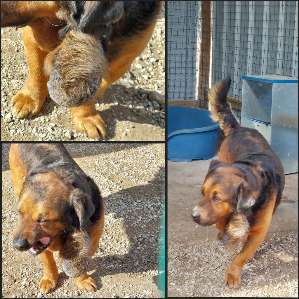 InCollage 20240129 101221347klein