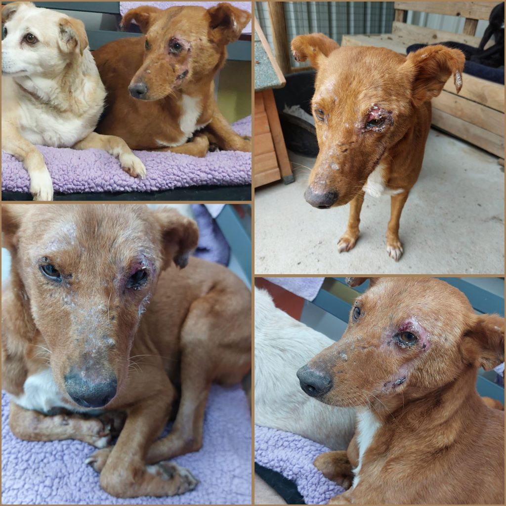 InCollage 20240330 165931624klein