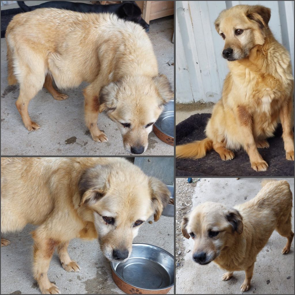 InCollage 20240408 103157320klein