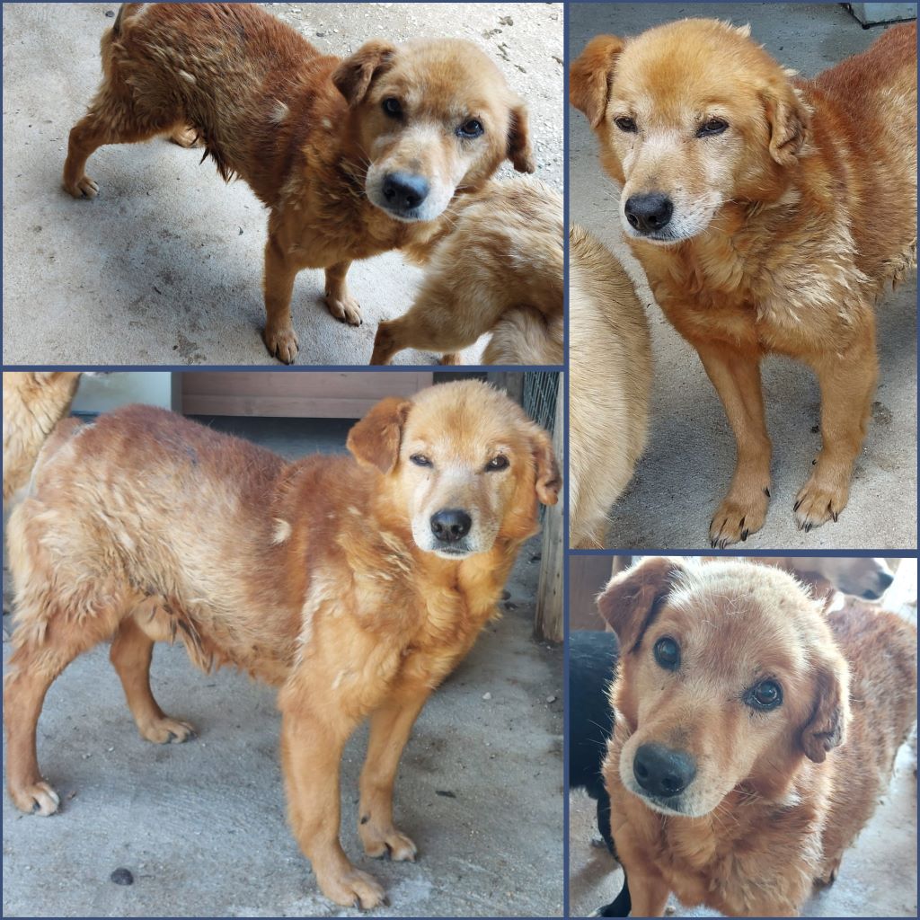 InCollage 20240409 175409164klein