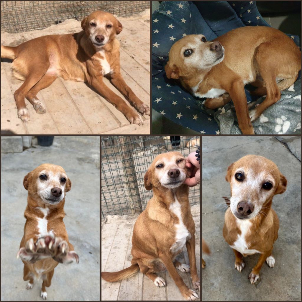 InCollage 20240428 210126946klein