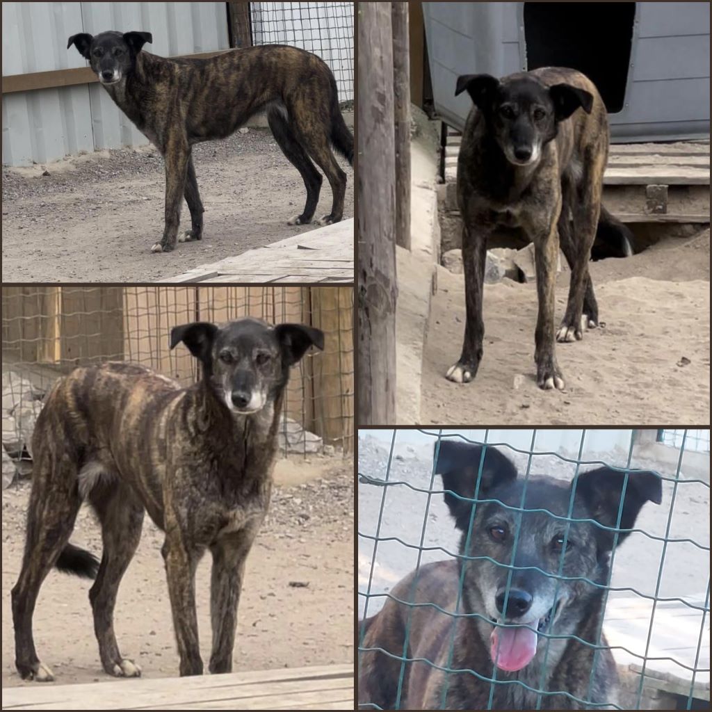 InCollage 20240524 151417404klein