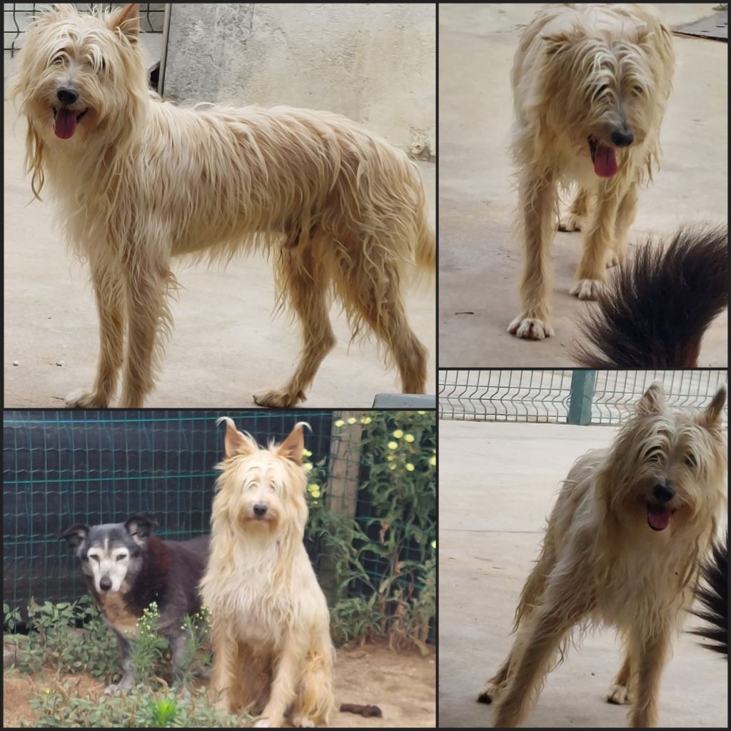 InCollage 20240610 140557280klein