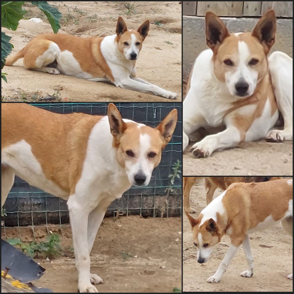 InCollage 20240610 141038505klein