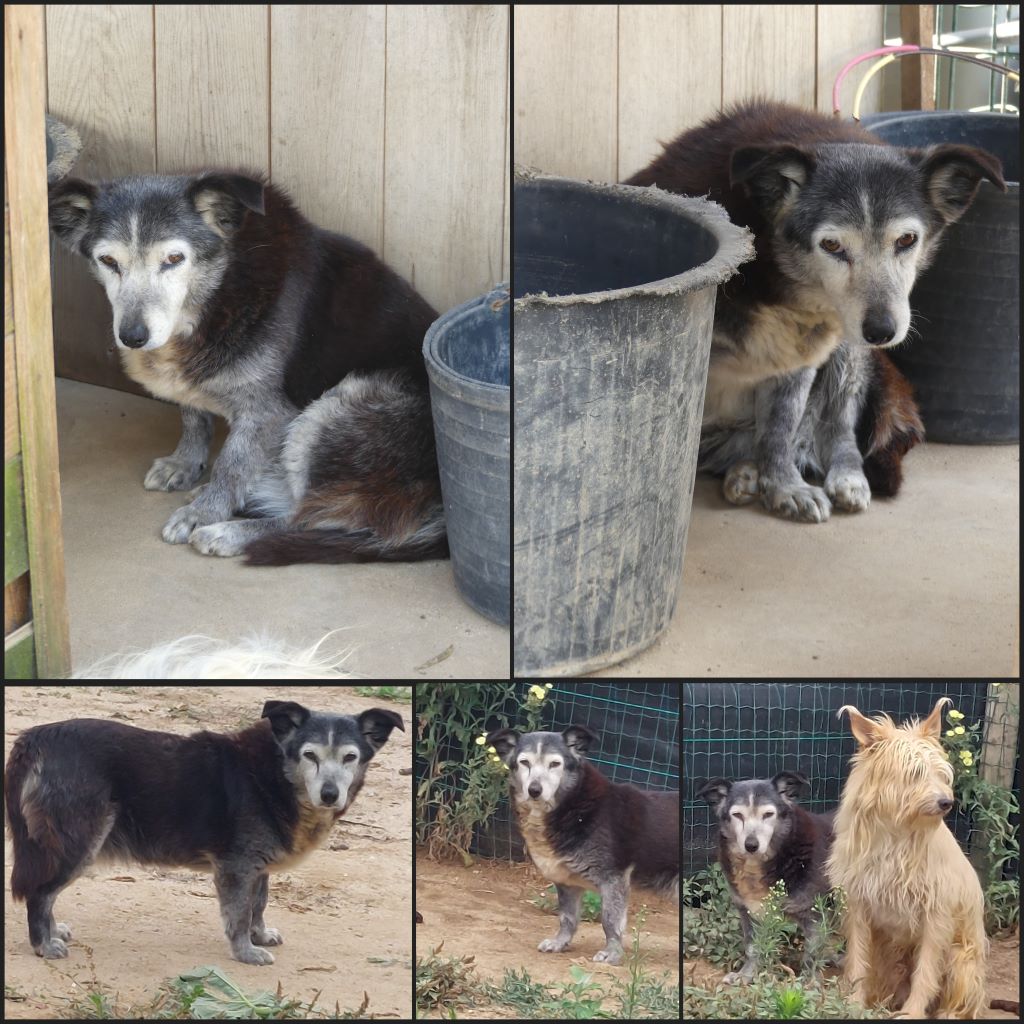 InCollage 20240611 101537006klein