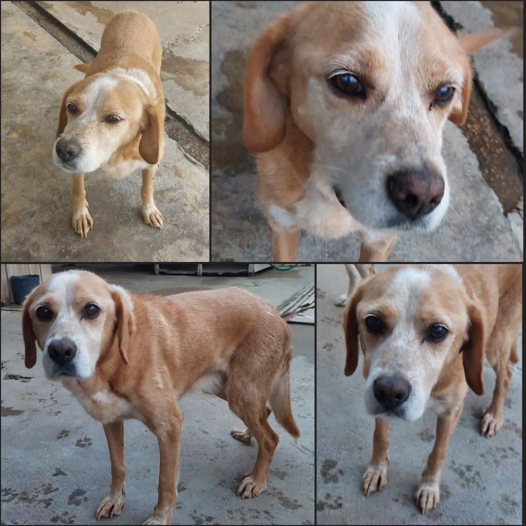 InCollage 20241103 092912693klein