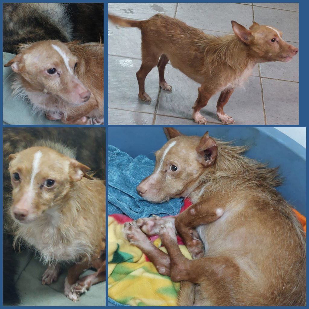 InCollage 20250228 195111627klein