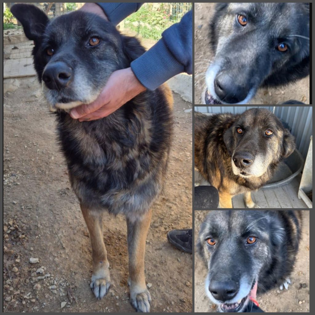 InCollage 20250327 150049878klein