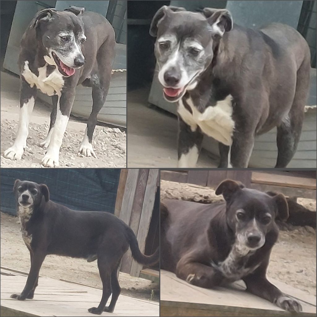 InCollage 20250408 170504689klein