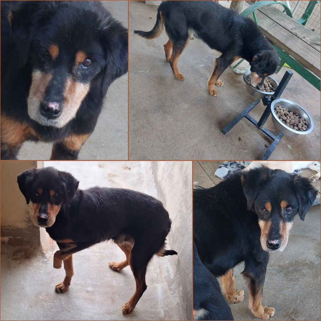 InCollage 20250410 115411677klein