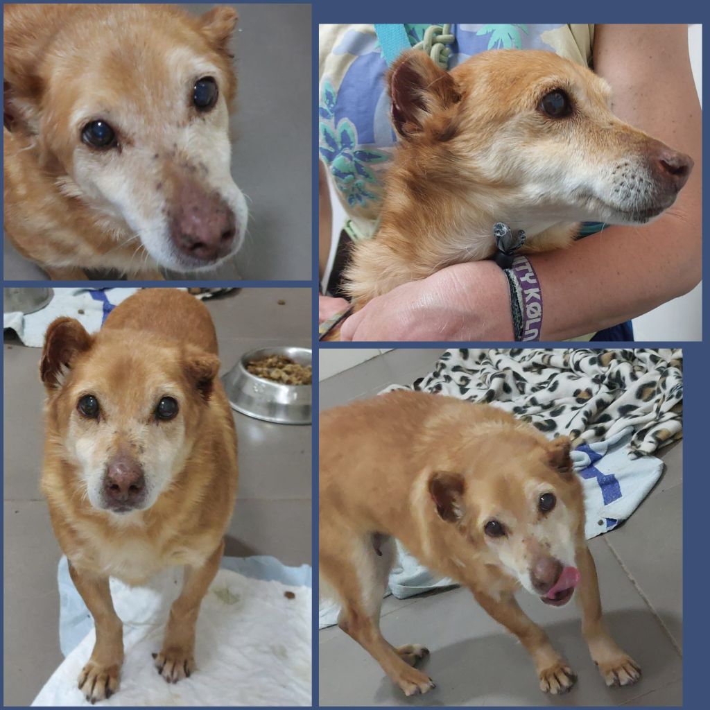 InCollage 20250424 215943919klein