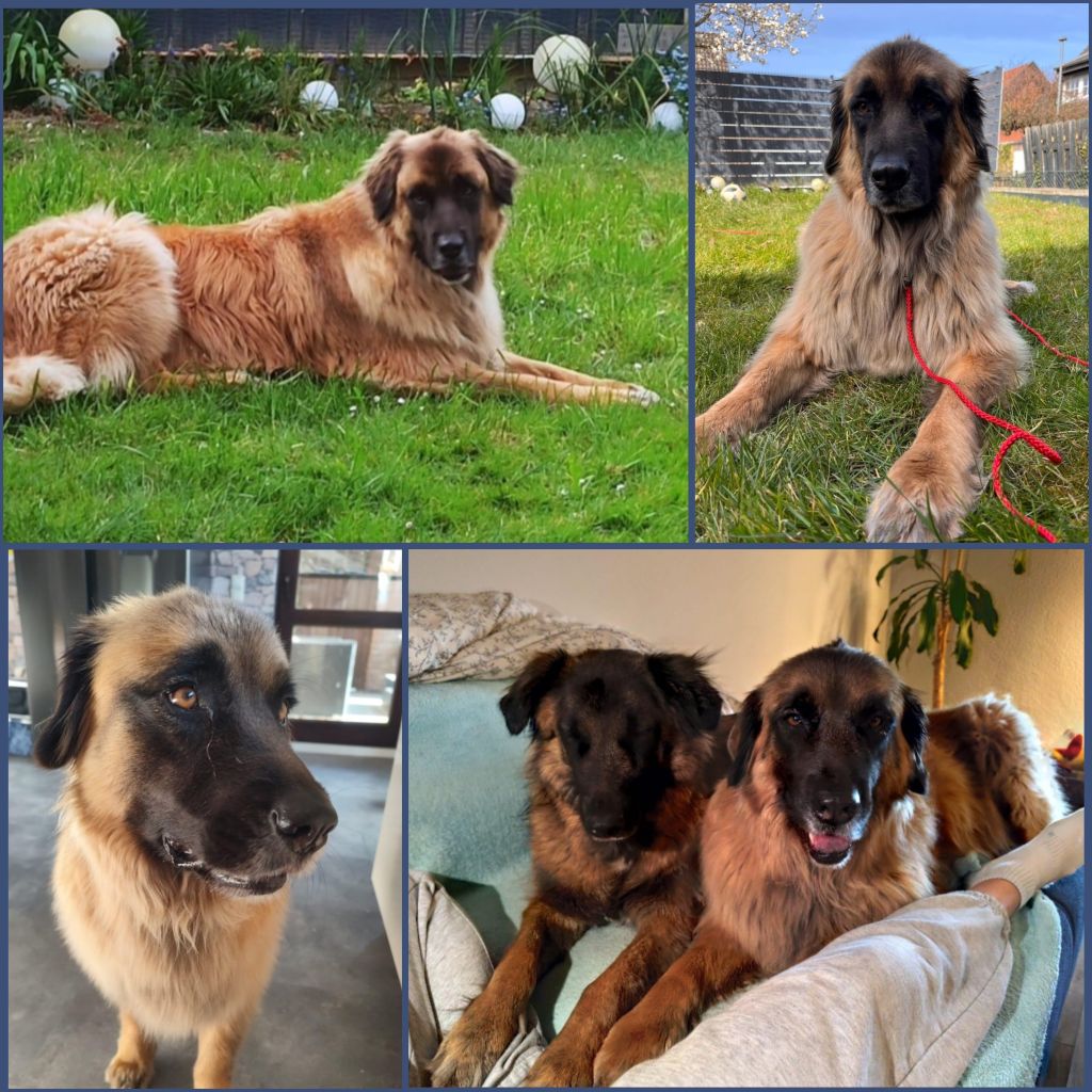 InCollage 20250523 175316864klein