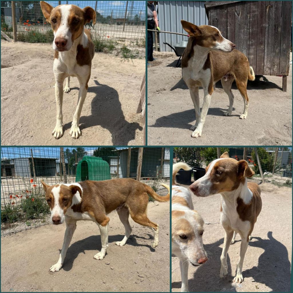 InCollage 20250615 182354598 klein