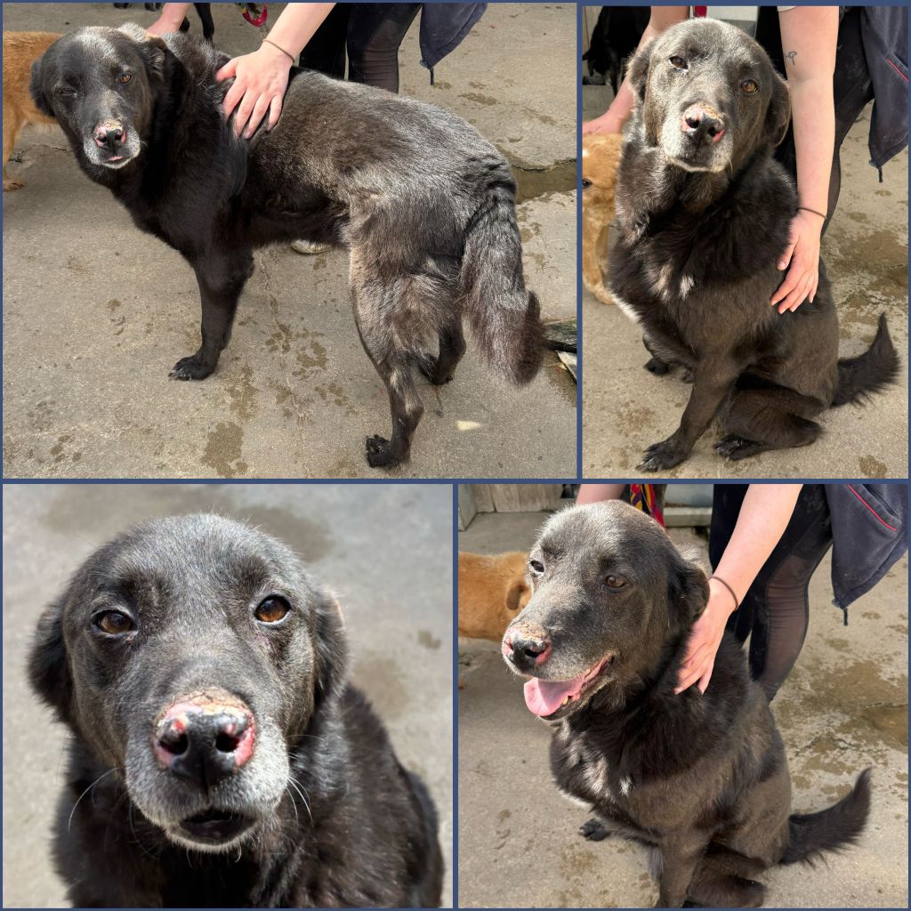 InCollage 20250624 124932458klein