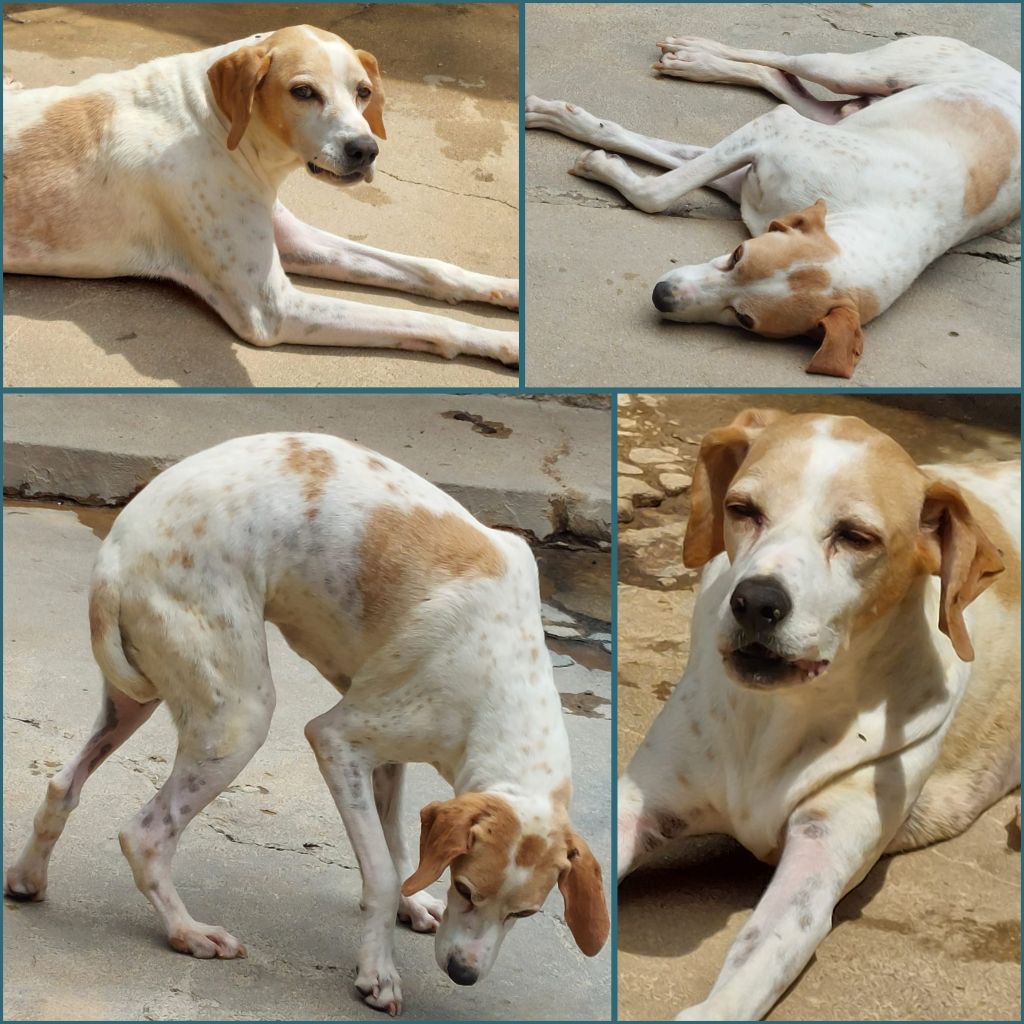 InCollage 20250713 204720498klein