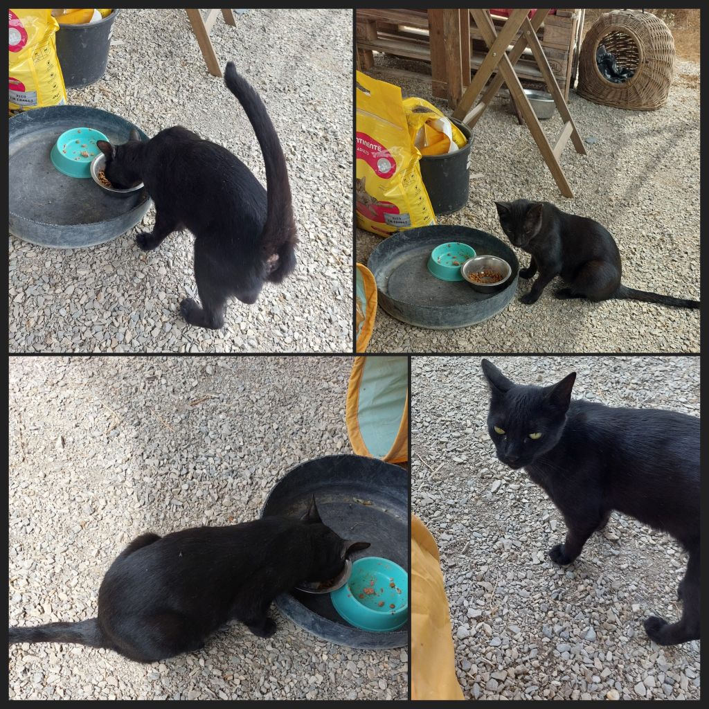 InCollage 20250813 211724370klein