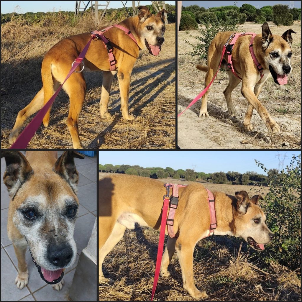 InCollage 20250922 201323049klein