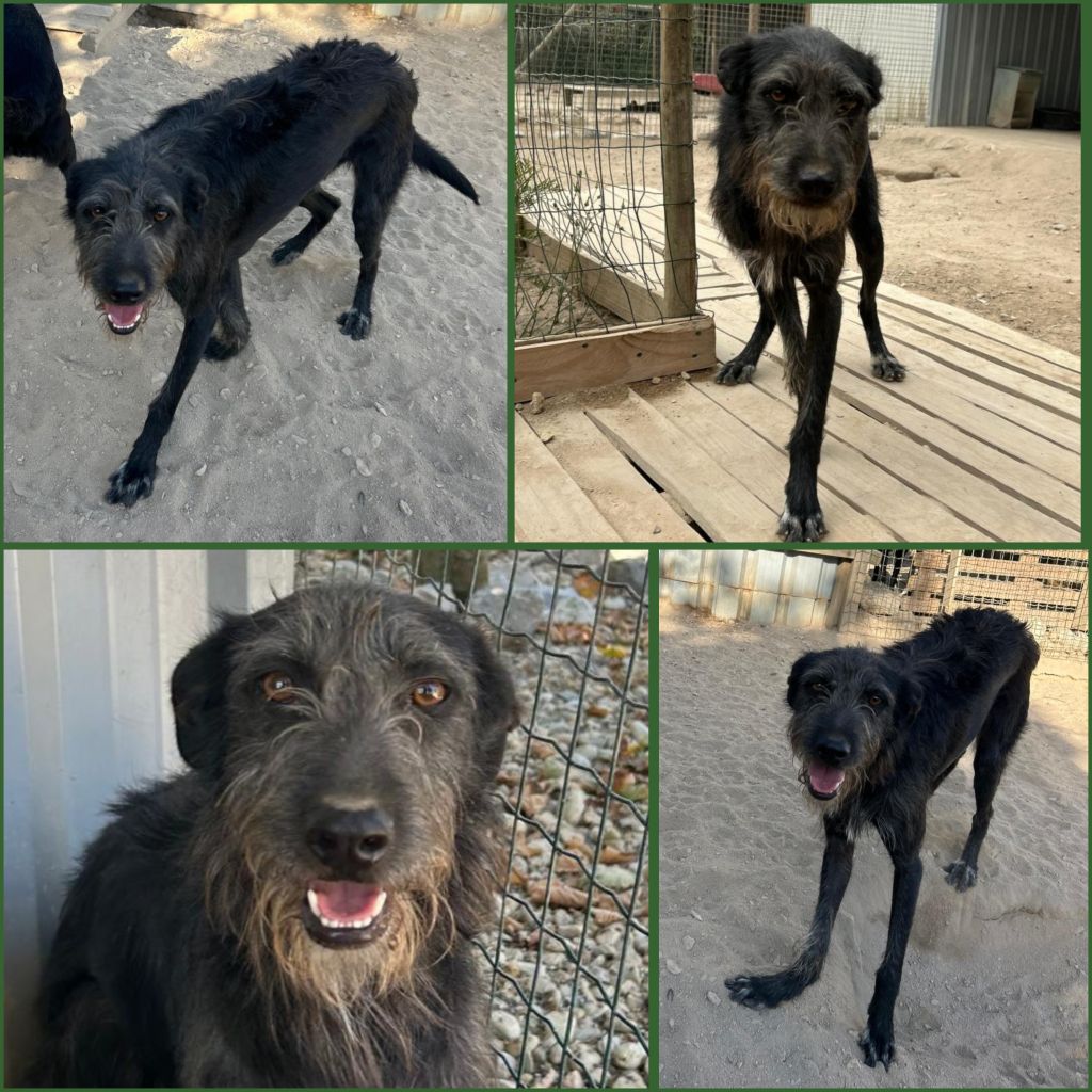 InCollage 20250924 113824517klein