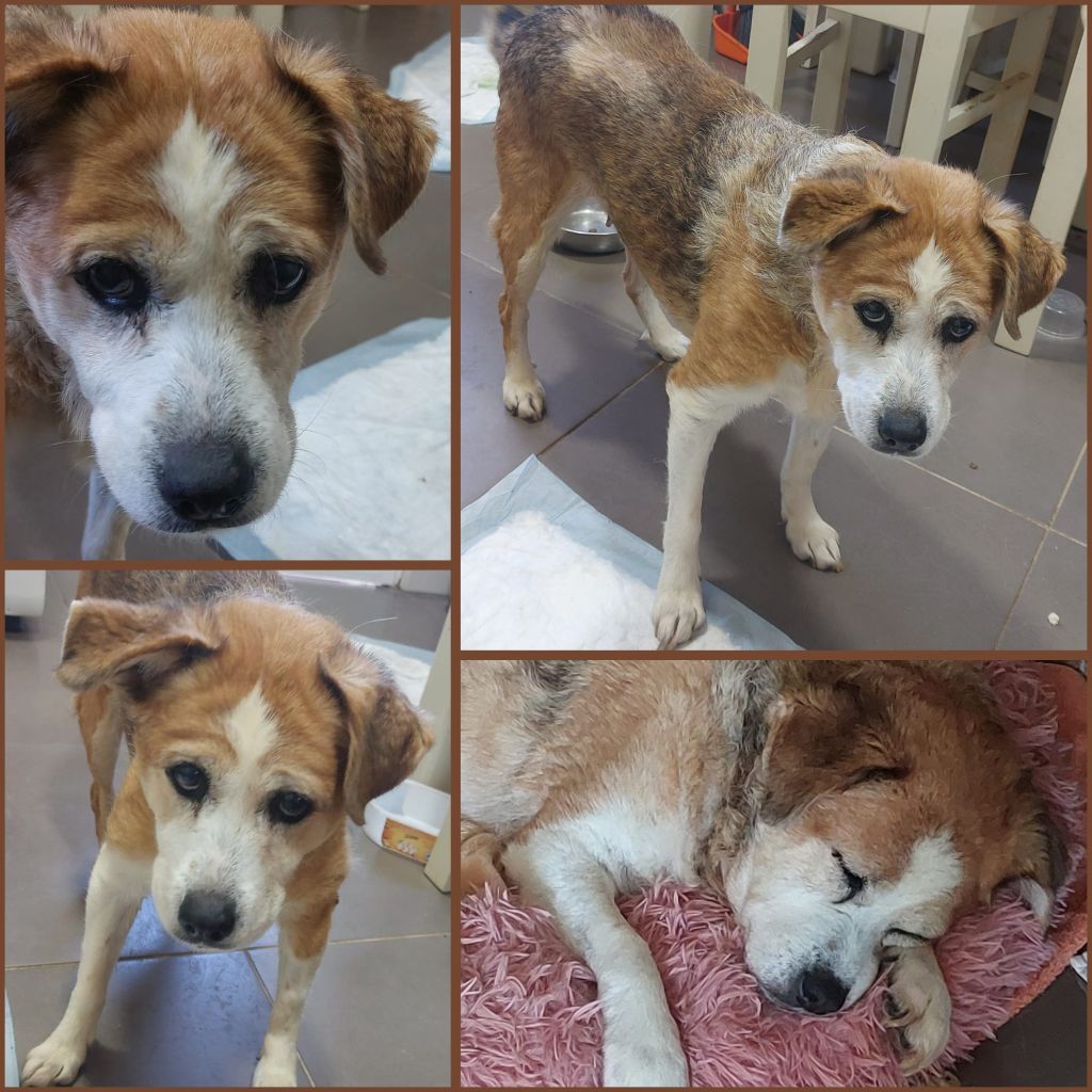 InCollage 20251126 222357884 klein