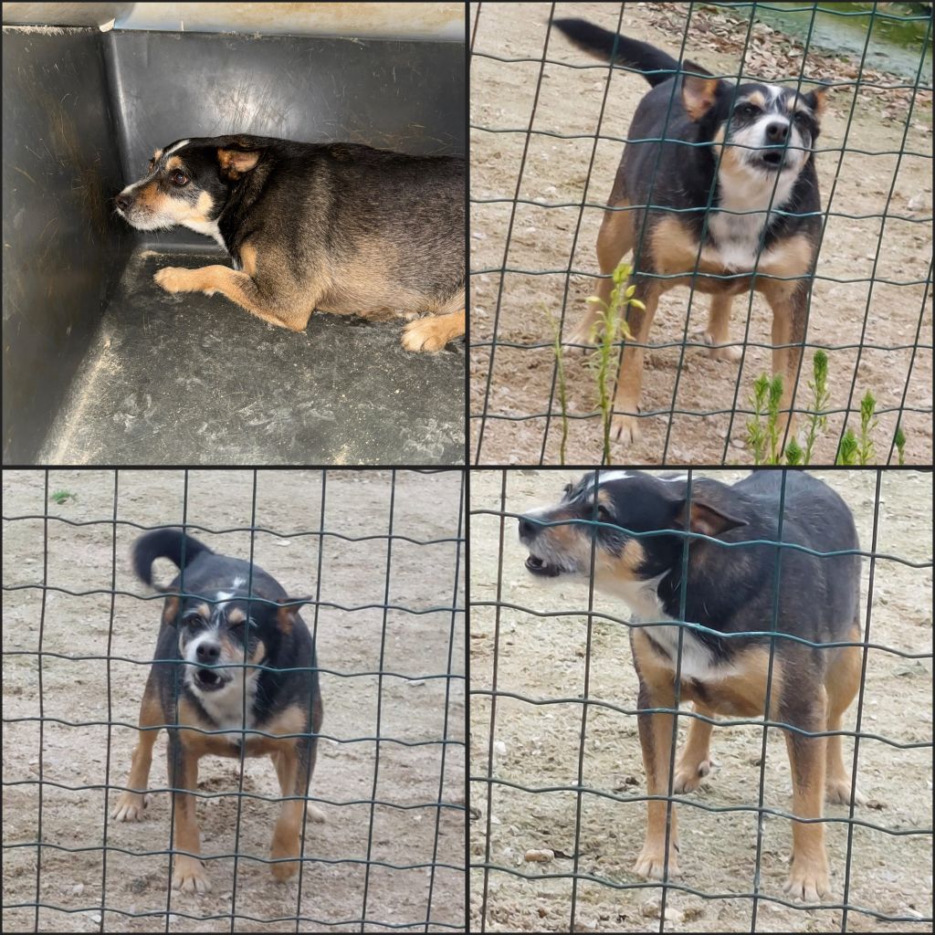 InCollage 20260108 195627539klein