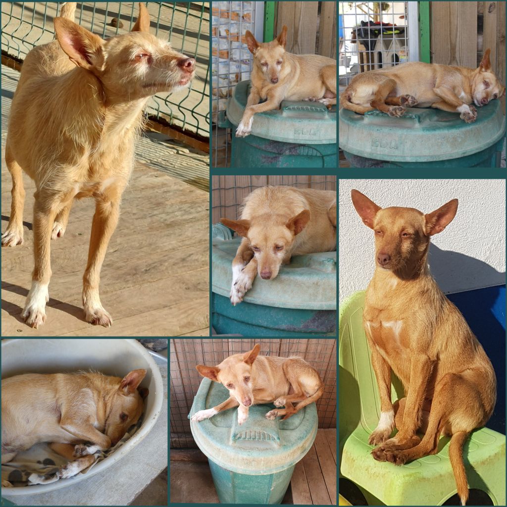 InCollage 20260322 205347294klein