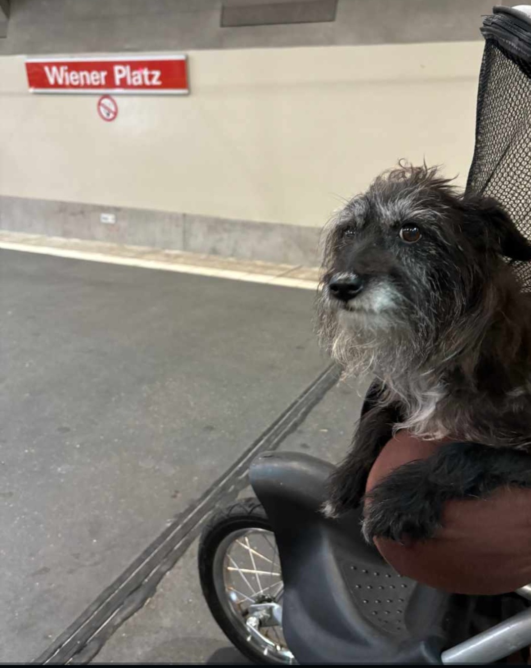 Screenshot 20240619 145735 WhatsApp