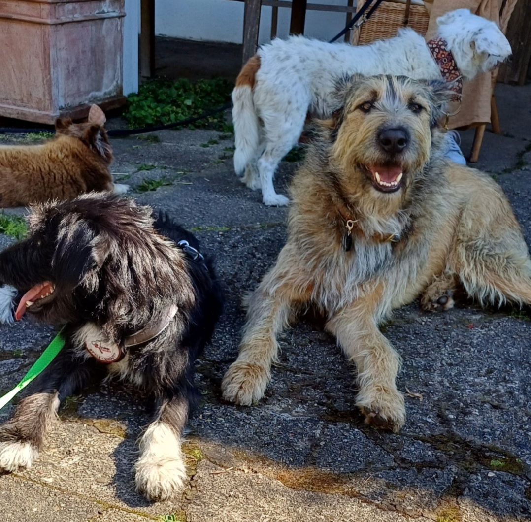 Screenshot 20240626 152604 WhatsApp