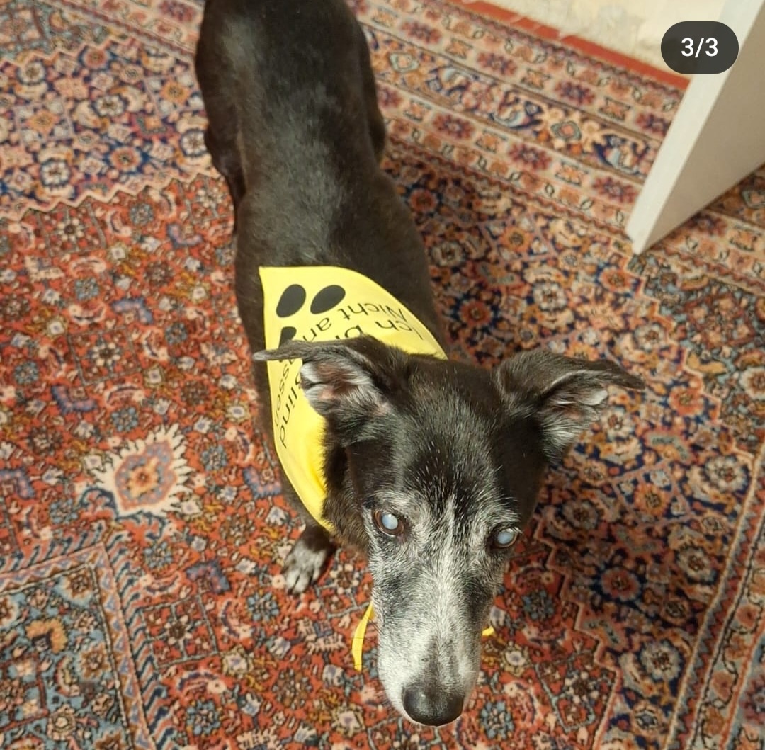 Screenshot 20241111 194440 Instagram