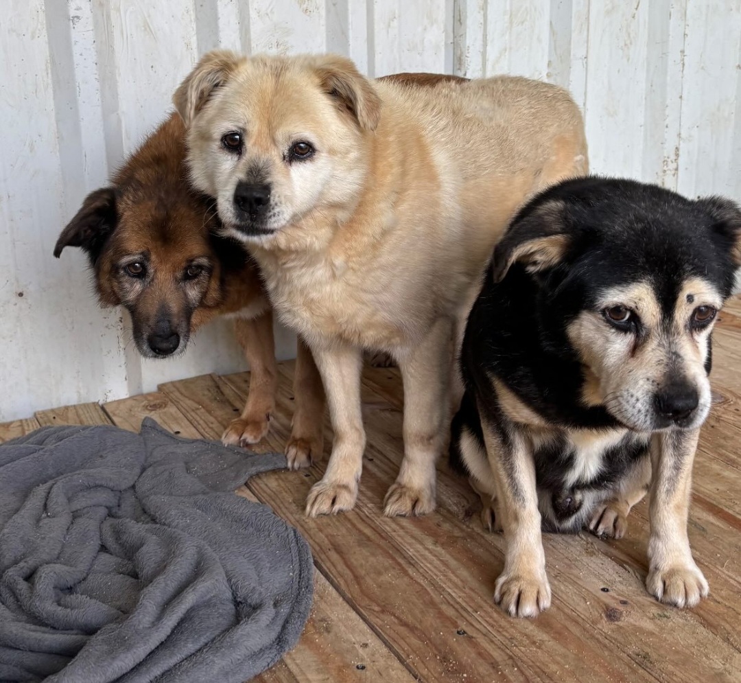 Screenshot 20250319 232152 Instagram