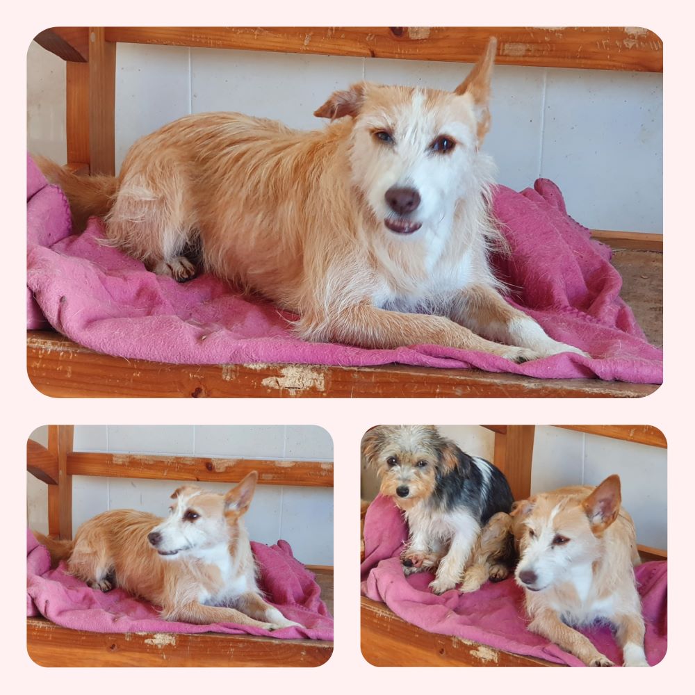 inCollage 20210901 184355747klein