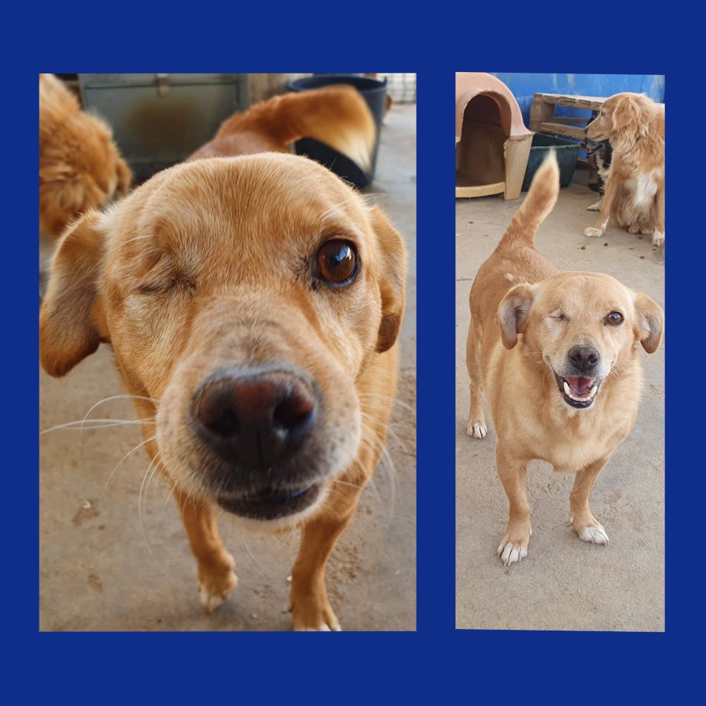 inCollage 20210901 190001614klein