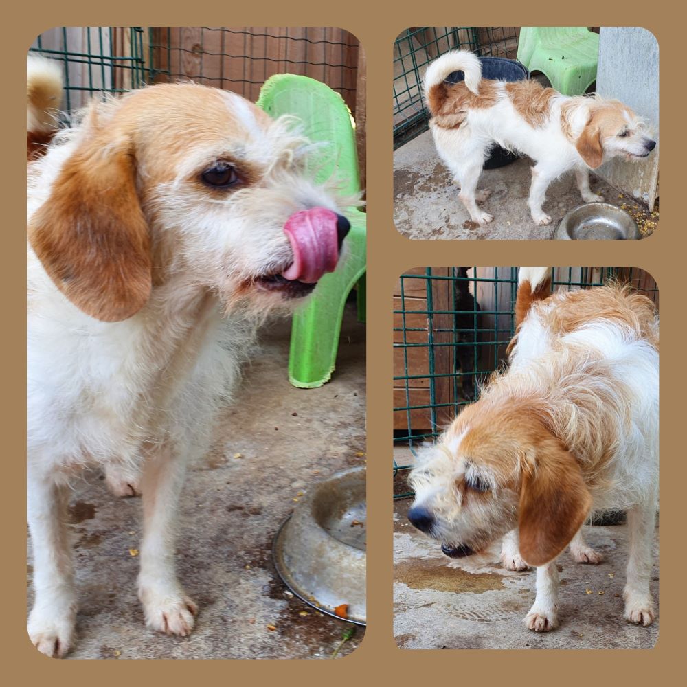 inCollage 20210902 130023904klein