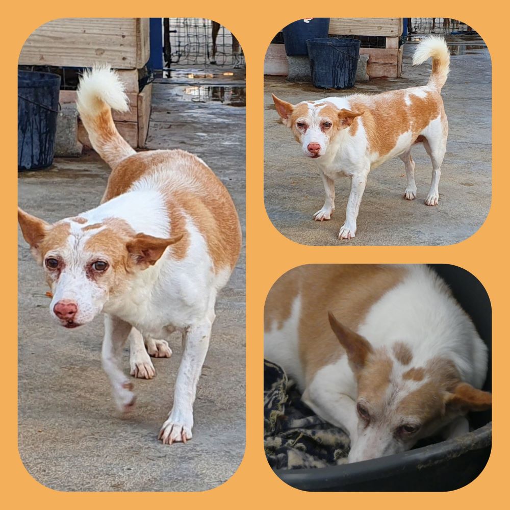 inCollage 20210902 165549391klein