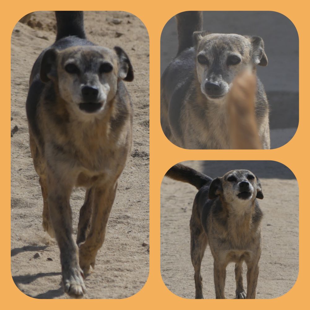 inCollage 20210902 172018997klein