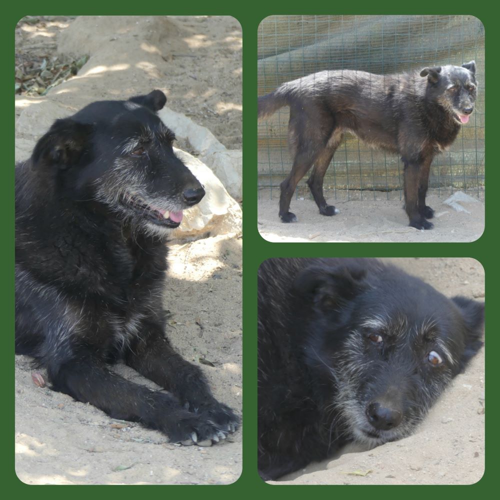 inCollage 20210902 185001104klein